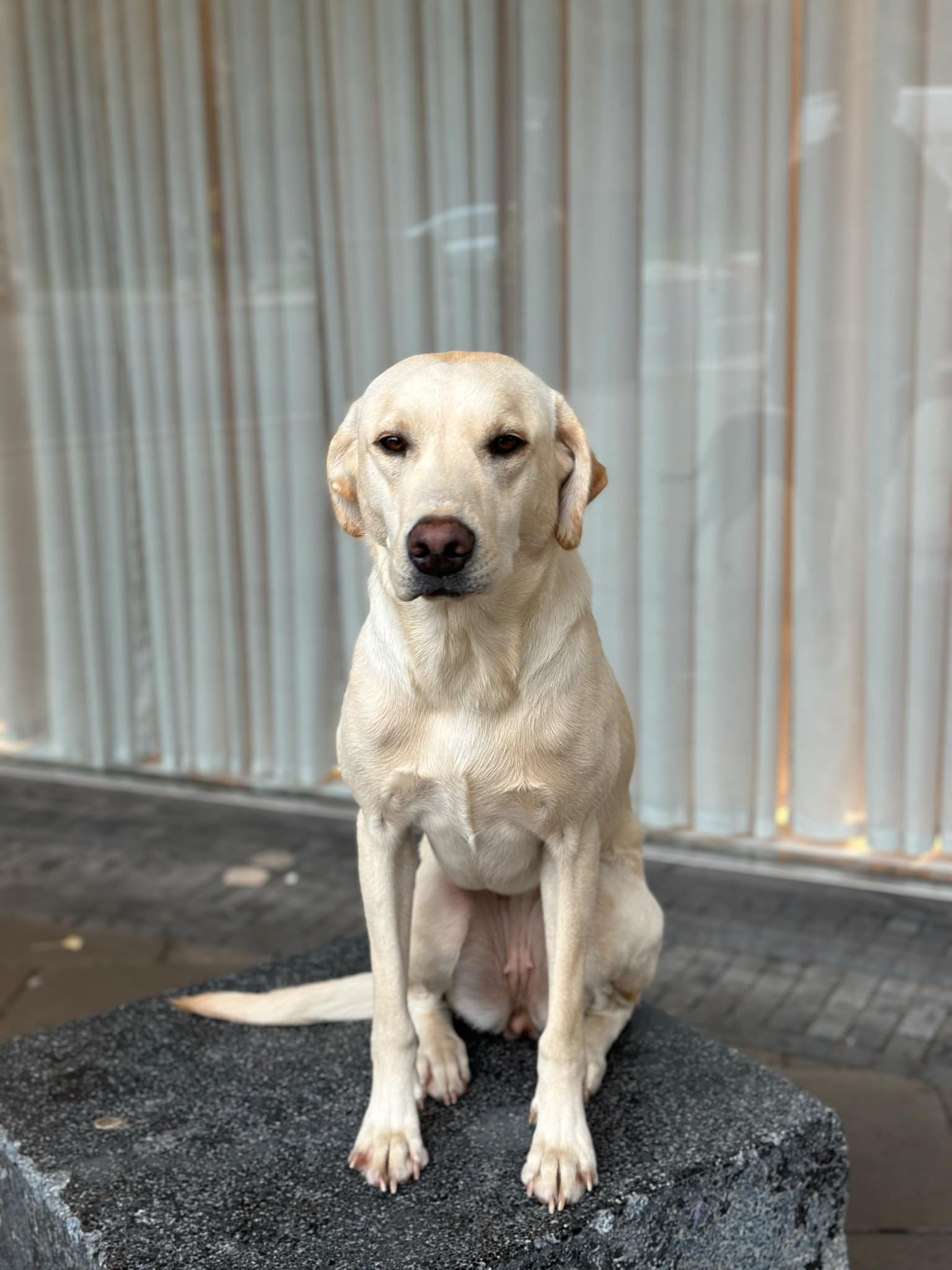 59a0e2aa-554e-4cdb-9eed-3e15a3e6054b